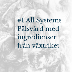 #1 All systems pälsvård